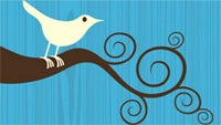 The original Twitter bird