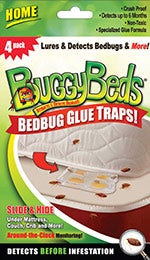 bugs buggy