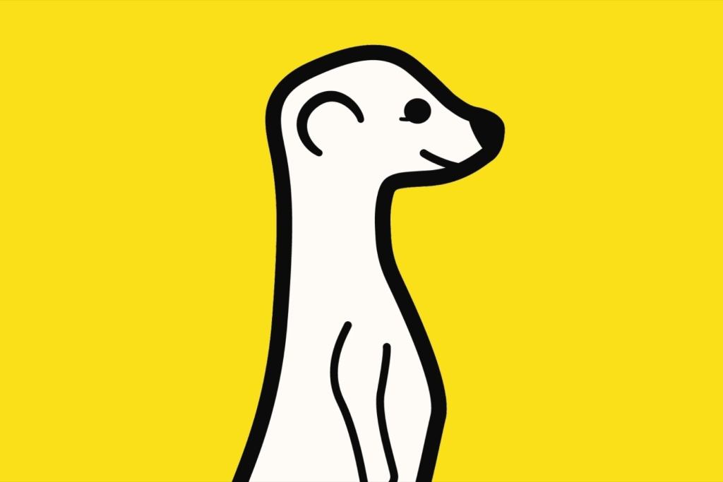 Meerkat Was Just a Side Project. Here's How it Became a Viral Sensation.