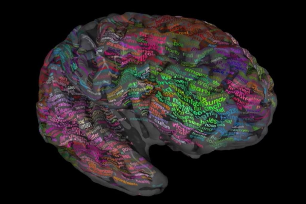 Amazing Brain Map Shows Where Words Are Stored in Your Noggin
