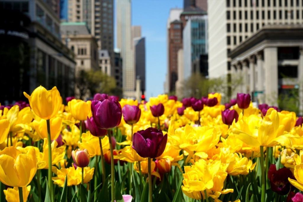 Springtime Extraordinary 4 Springtime Strategies to Liven up Your Company Culture