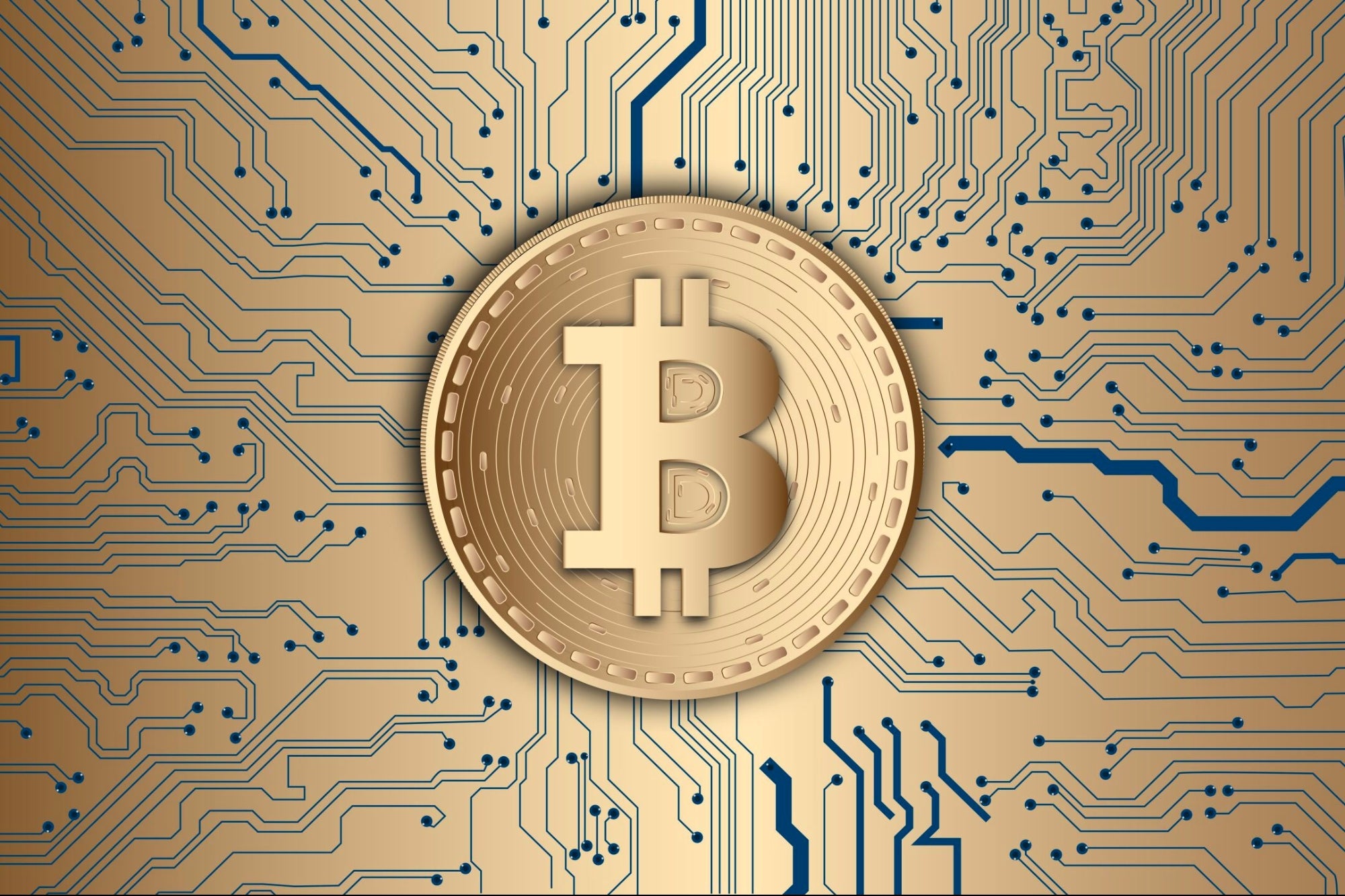 Tesla CEO Elon Musk Says Bitcoin Purchase is 