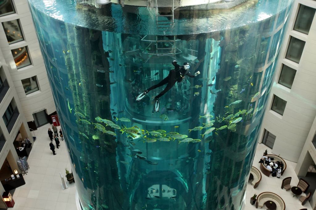 Massive Aquarium Explodes in Berlin, Killing 1,500 Fish