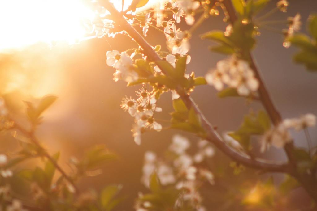 Spring into Freshness: 12 Breezy Ways to Shake Up Your Routine