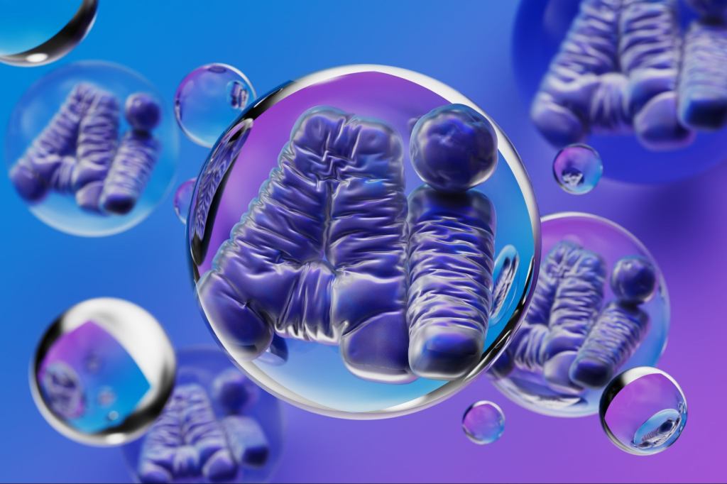 We’ve Seen This Before: AI Is the New Dot-Com Moment