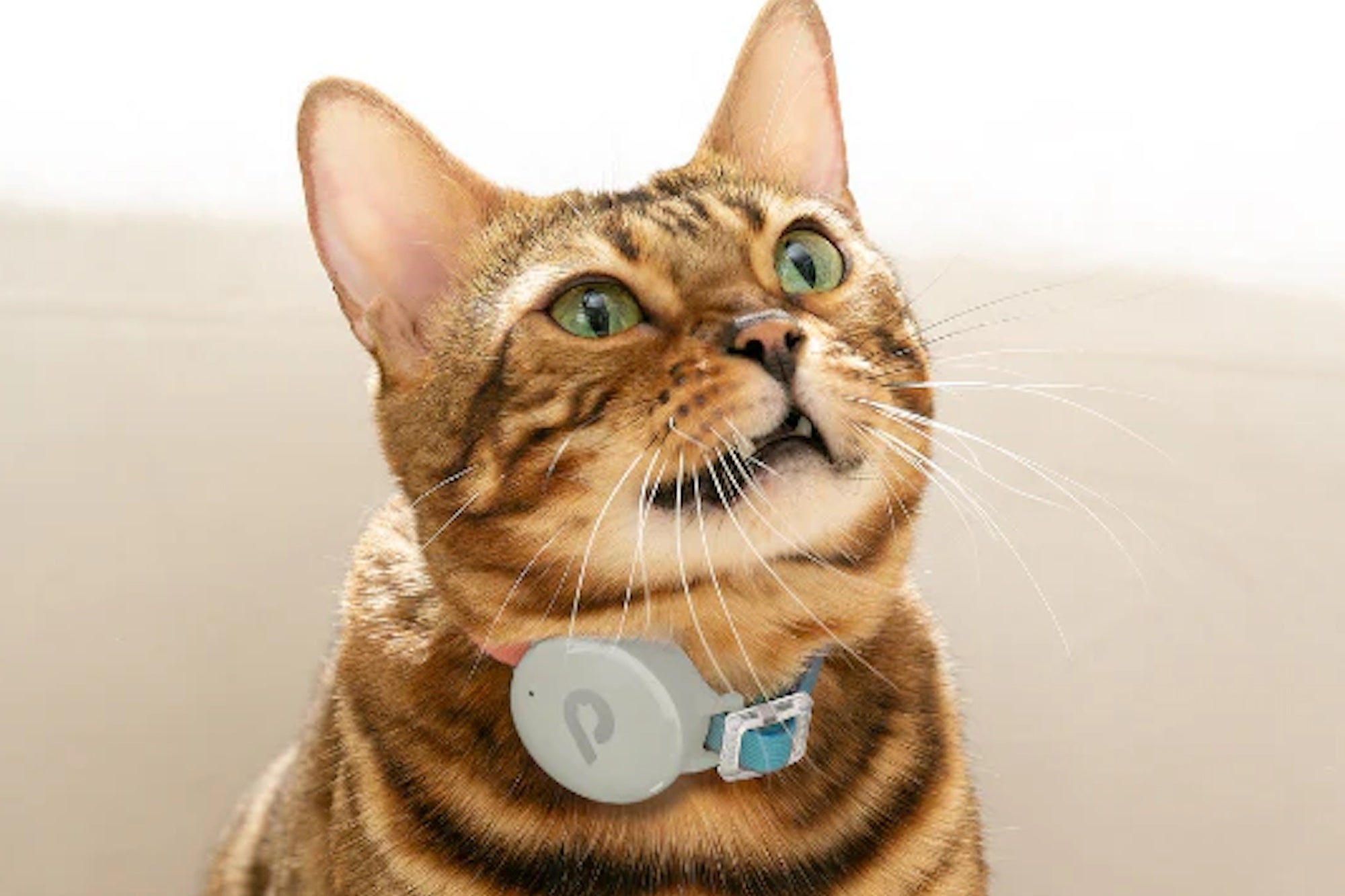 5 of the Strangest Products at CES 2026, Including One That Lets You ‘Chat’ With Your Cat