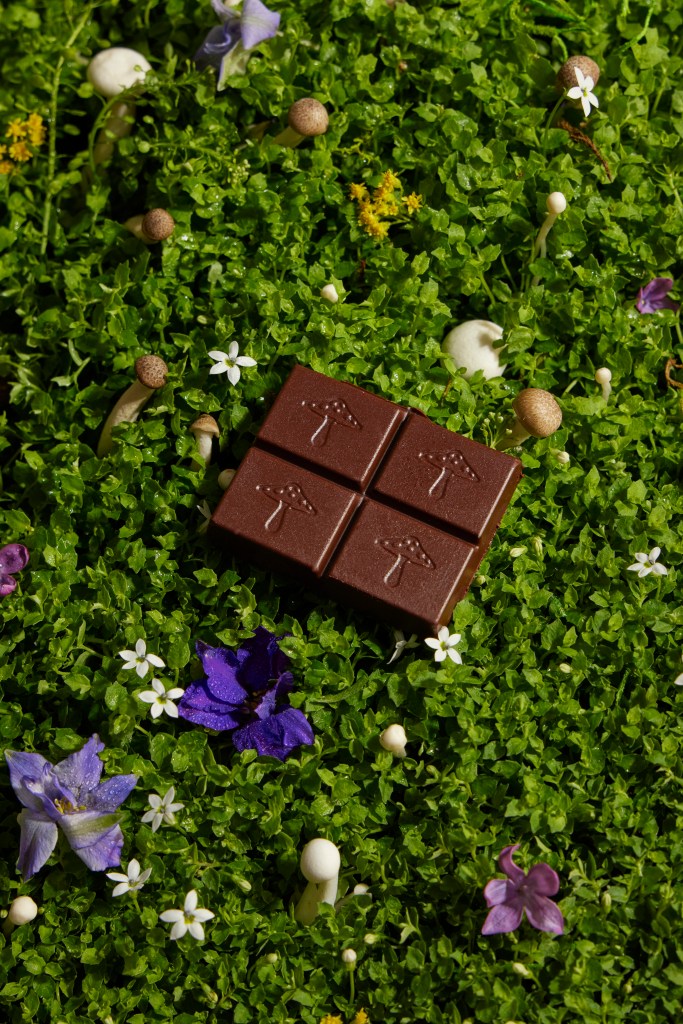 alice mushrooms chocolates