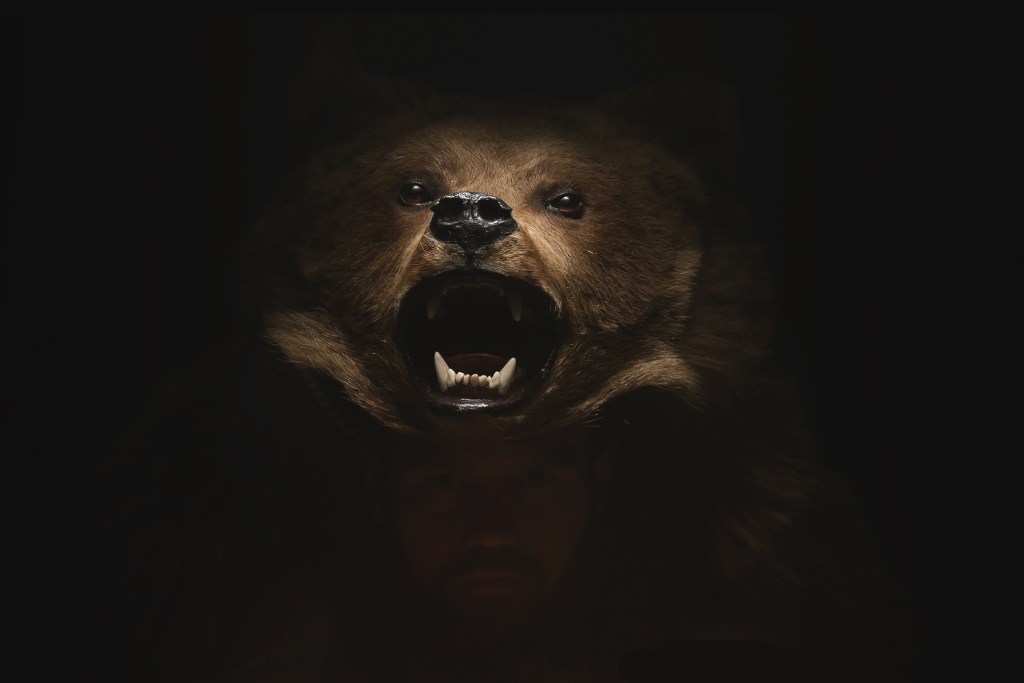 Fraudsters Staged Fake Bear Attacks on Luxury Cars Wearing a Costume. They Bilked Insurers Out of $141K — Until a Wildlife Expert Watched the Videos.