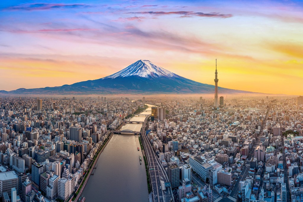 Aerial view of Tokyo cityscape with Fuji mountain in Japan.
