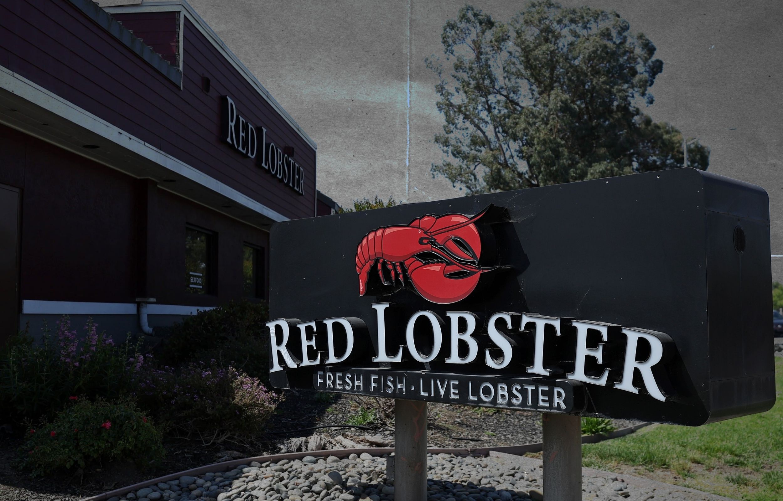 Red Lobster’s Endless Shrimp Turned Servers Into ‘Shrimp Police’ And Bankrupted the Chain. Now It’s Back — Here’s How They Changed It.