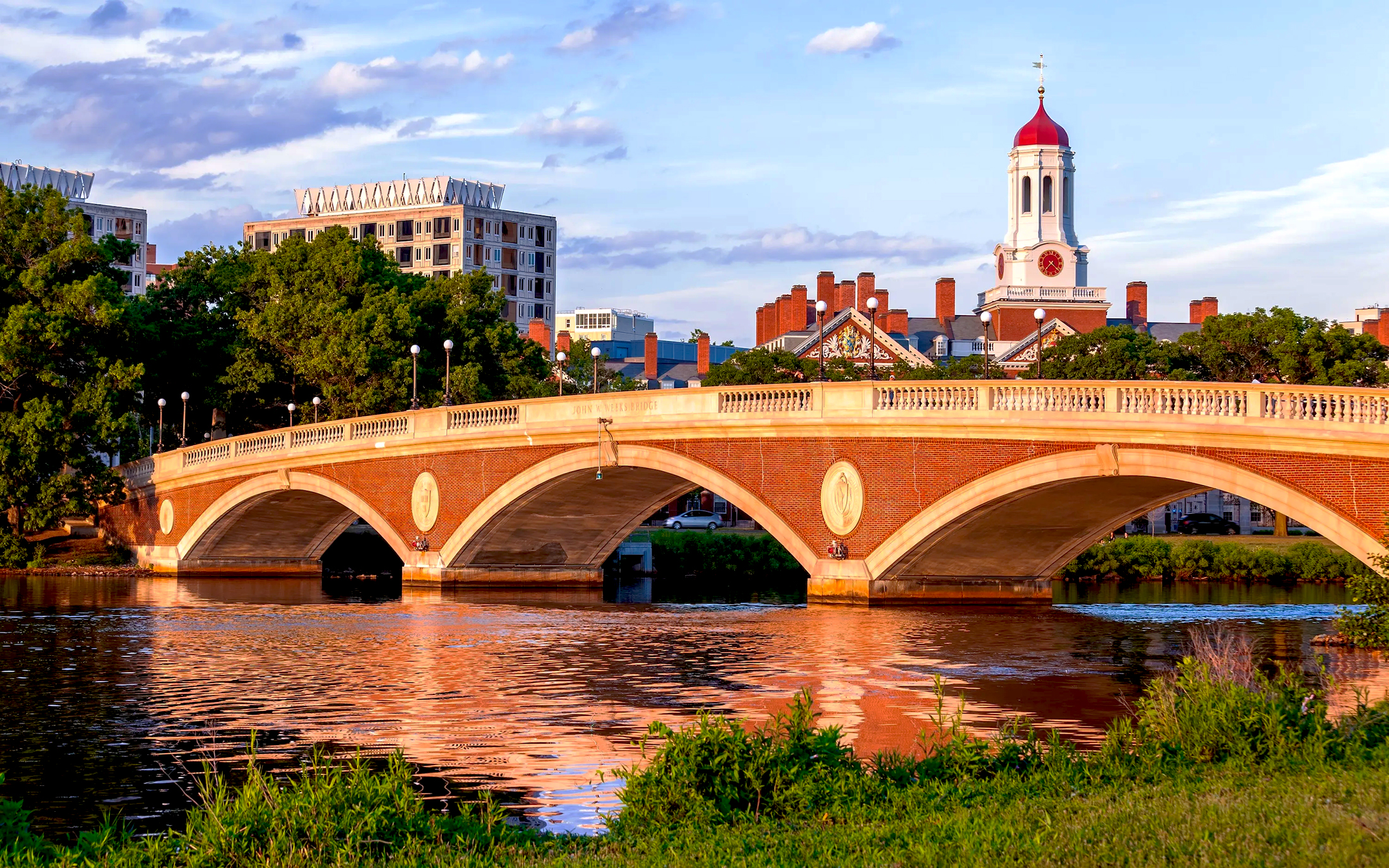 Harvard Is Offering a New $699 Bootcamp for Entrepreneurs, But There’s a Catch
