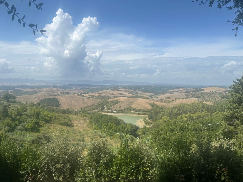 The view