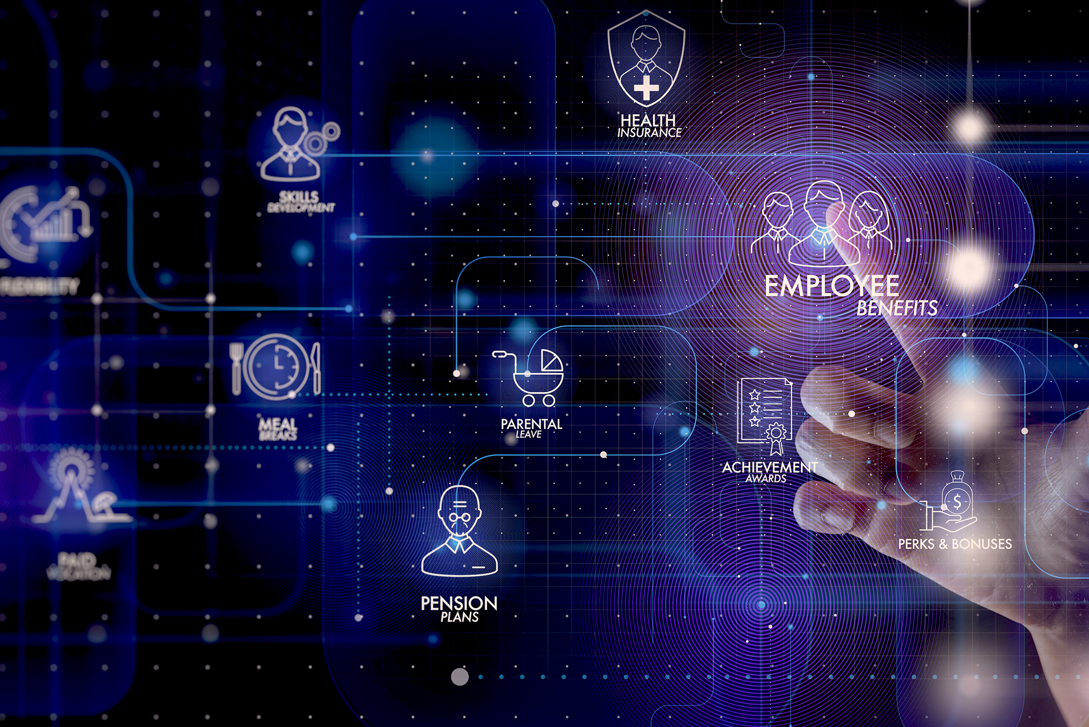 What Growing Businesses Should Expect From an HR and Payroll Provider