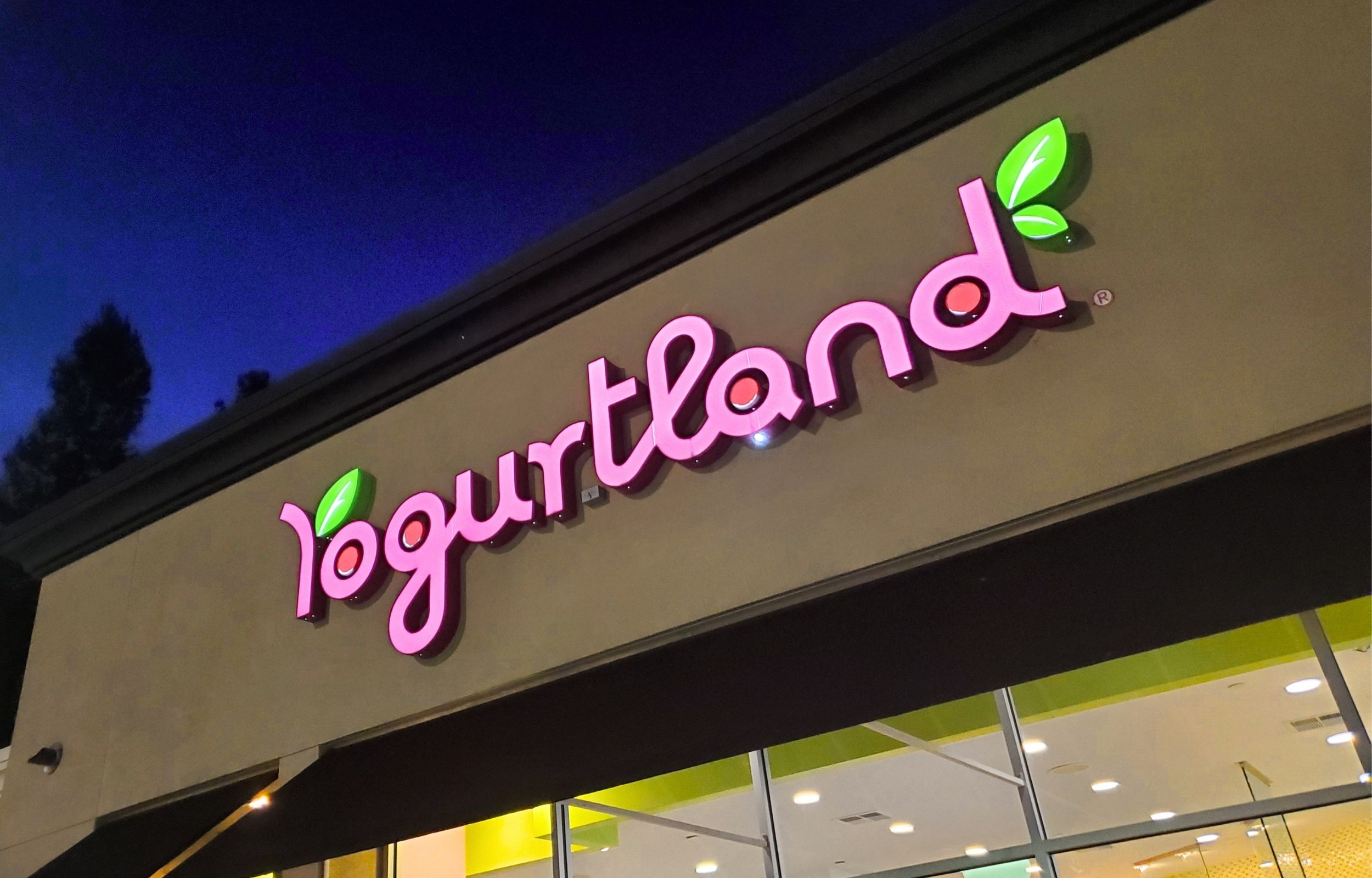 One Franchisee Said He’d ‘Die With His Locations’ — Here’s Why Yogurtland Operators Refuse to Cash Out