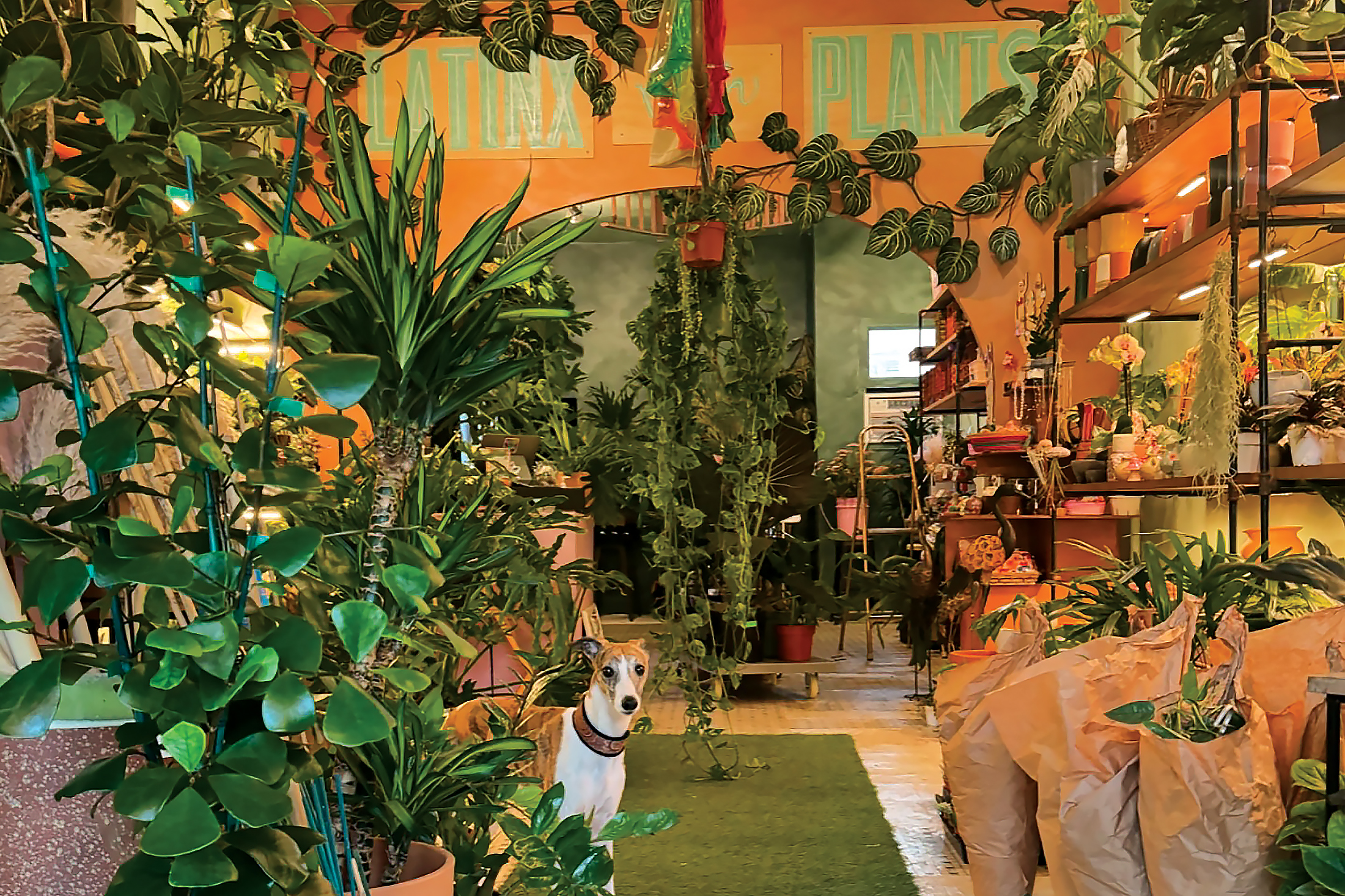 “We Constantly Hear ‘Wow’”: What Customers Should Notice When They Walk In the Door